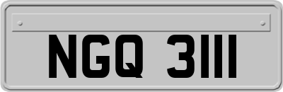 NGQ3111