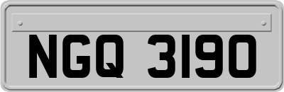 NGQ3190