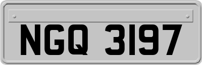 NGQ3197