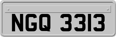 NGQ3313