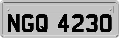 NGQ4230