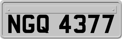 NGQ4377