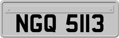 NGQ5113
