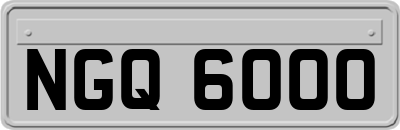 NGQ6000