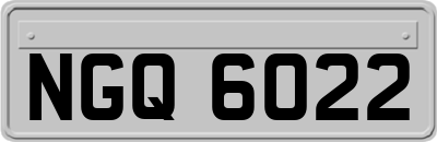 NGQ6022