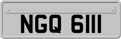 NGQ6111