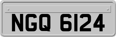 NGQ6124