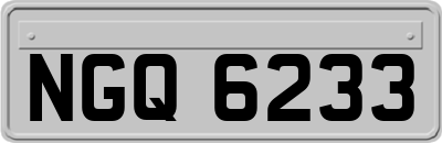 NGQ6233