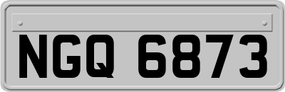 NGQ6873