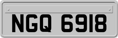 NGQ6918
