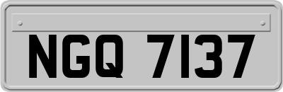 NGQ7137