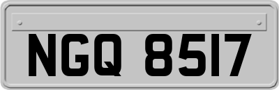 NGQ8517