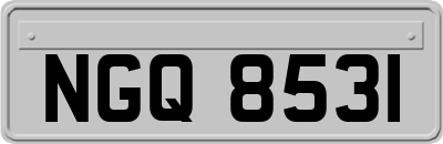 NGQ8531
