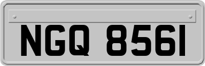 NGQ8561