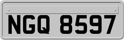 NGQ8597