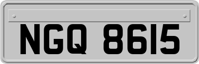 NGQ8615