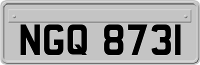 NGQ8731