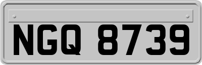 NGQ8739