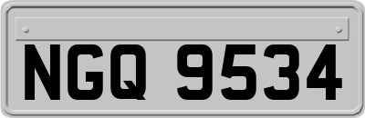 NGQ9534