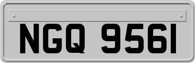 NGQ9561