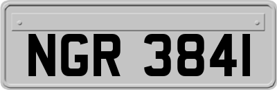 NGR3841