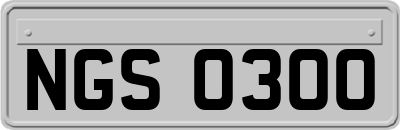 NGS0300