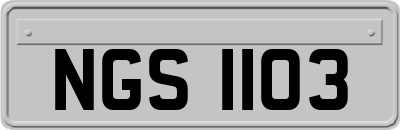 NGS1103