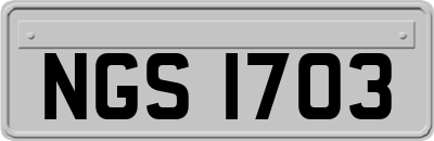 NGS1703