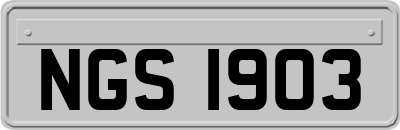 NGS1903