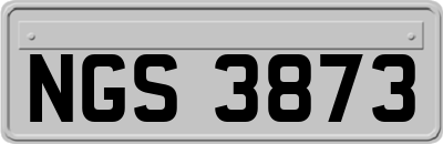 NGS3873