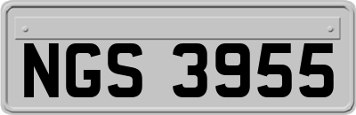 NGS3955