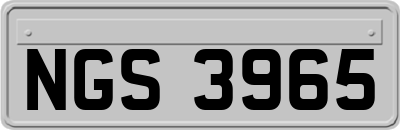 NGS3965