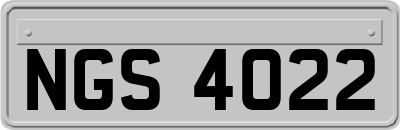 NGS4022