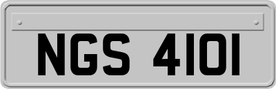 NGS4101