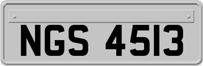 NGS4513