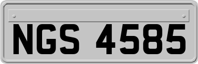 NGS4585