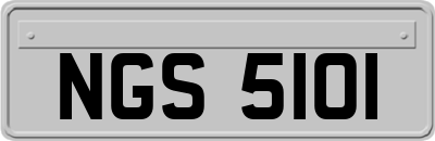 NGS5101