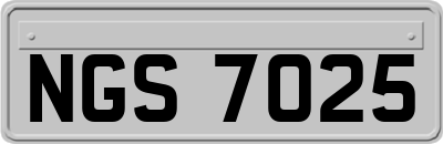 NGS7025