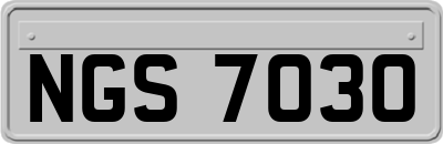 NGS7030