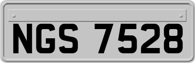 NGS7528