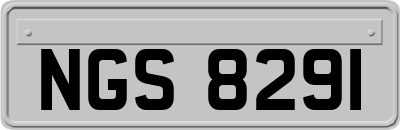 NGS8291