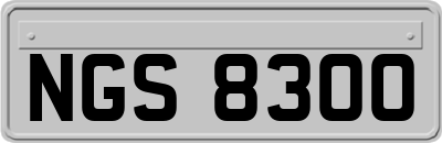 NGS8300