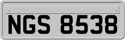 NGS8538