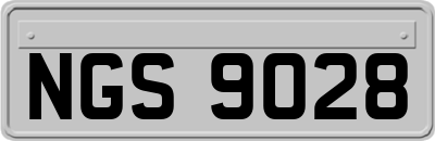NGS9028