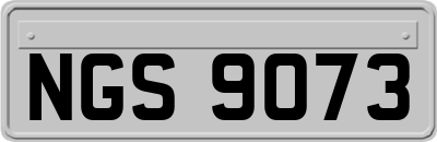 NGS9073
