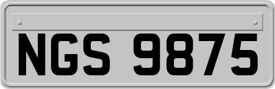 NGS9875