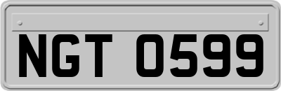 NGT0599