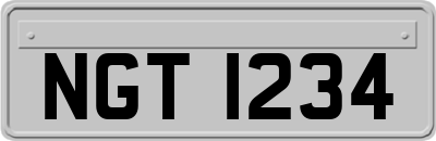 NGT1234