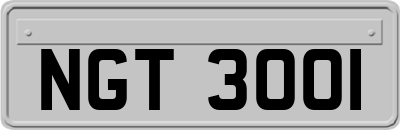 NGT3001