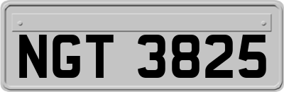NGT3825